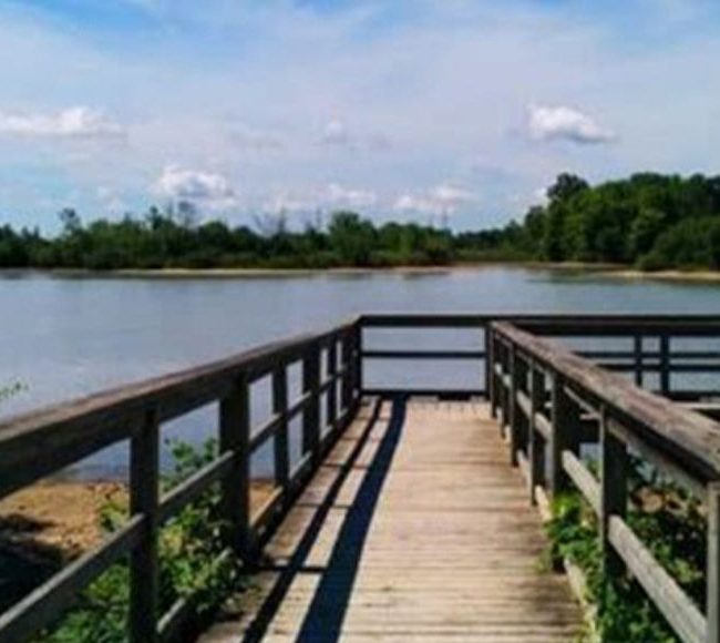 Glenridge Quarry Naturalization Site image