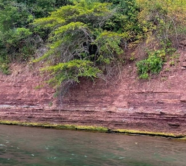 Lower Niagara River Queenston Shale image