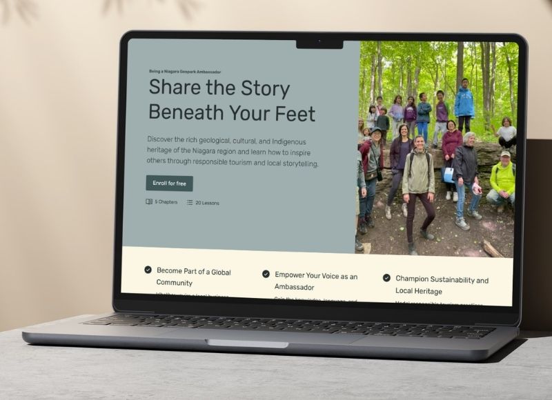 Screen capture of online course