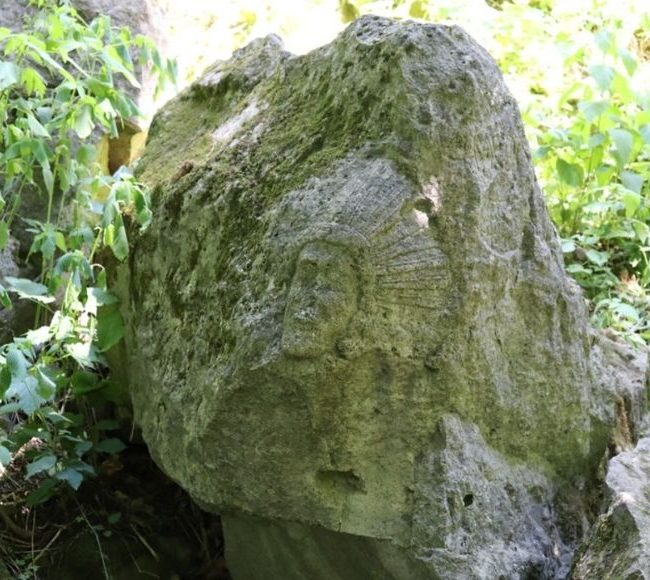 Cave Springs image