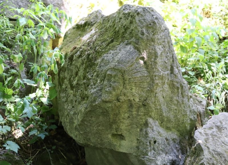 Cave Springs image