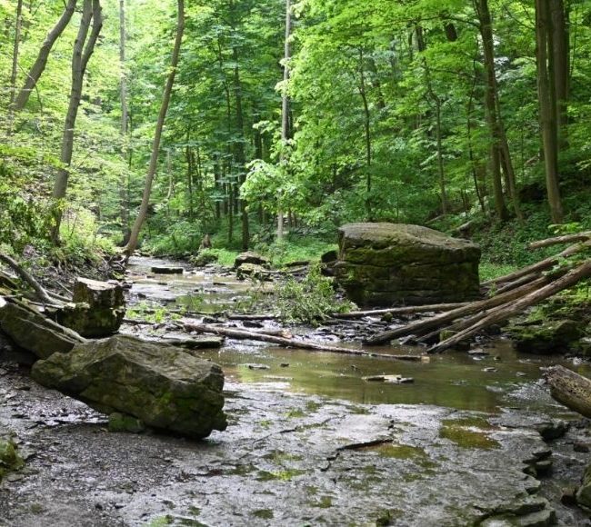 Louth Conservation Area image