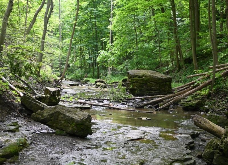 Louth Conservation Area image
