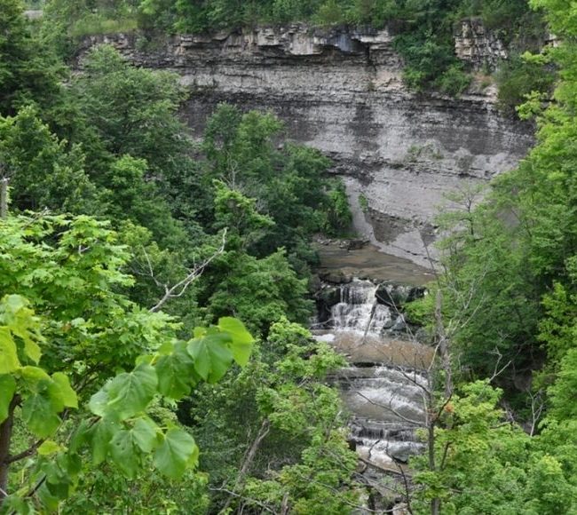 Rockway Conservation Area image