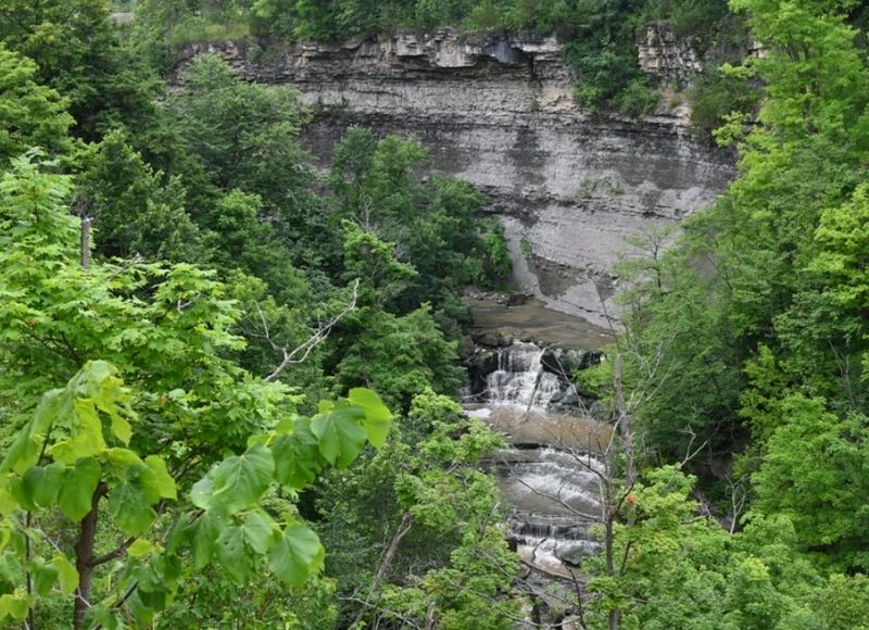 Rockway Conservation Area image