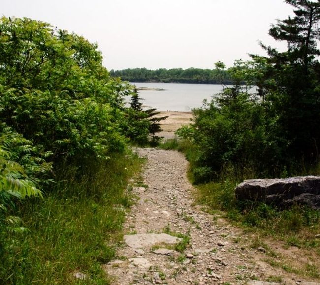 Wainfleet Wetlands image