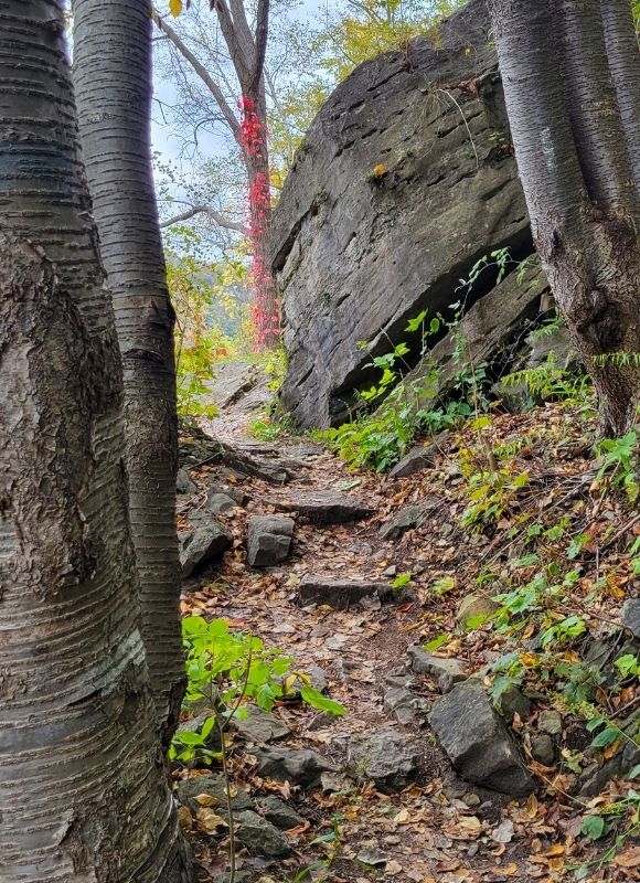Niagara Gorge
