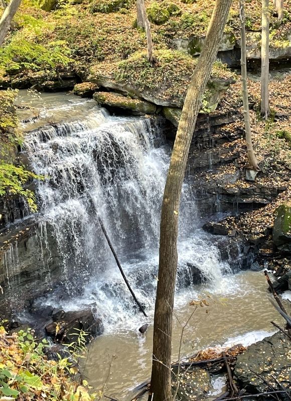 Louth Conservation Area